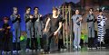 Lionking 0576